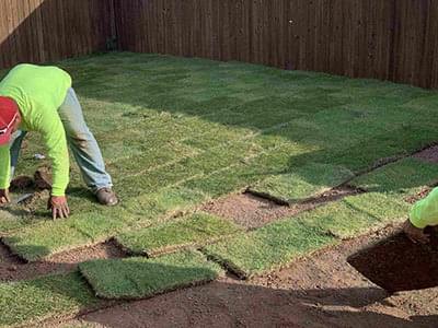 How to install grass